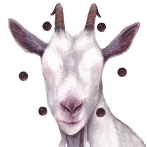 Meet your Posher, Alanis